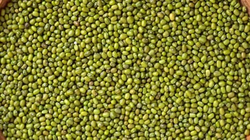 Semillas de frijol mungo para germinar en un plato de madera girando