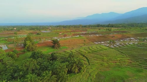 Schöne Morgenansicht in Indonesien, Panoramalandschaft von Reisfeldern mit Bergketten