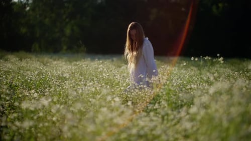 Tranquil Sunset Stroll Through Wildflower Field