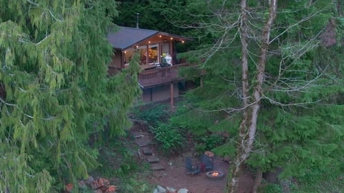 Cabin Surrounded By Trees in Forest
