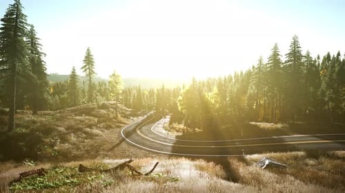 A Serene and Scenic Road Winding Through a Picturesque Forest at Sunset