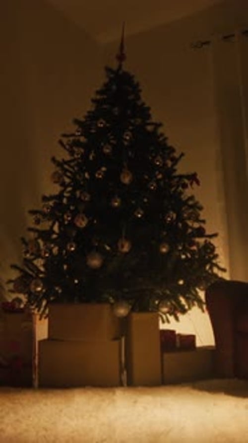 Unlit Christmas Tree Before The Magical Night In A Cold Mountain House