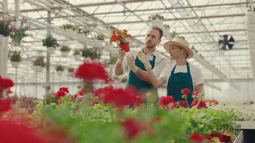 Man and Woman Inspecting Flowers in Greenhouse