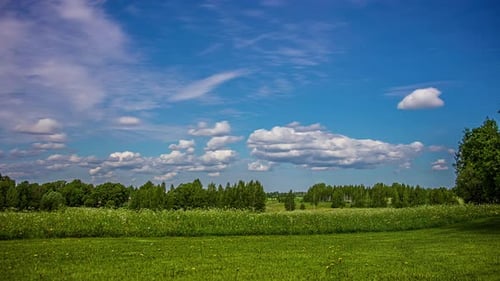 Flauschige Wolken gleiten im Sommer über Wiesen und Bäume. Zeitraffer
