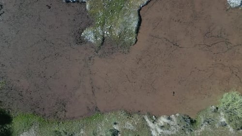 rising flight with a drone with a top-down view over an area of water completely covered with a type