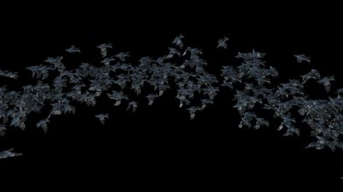 Animated Flock of Crows Flying in Natural Style