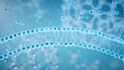 Animated Cell Membrane Structure with Floating Molecules
