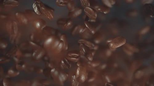 Coffee Beans Floating Up and Down With Golden Light