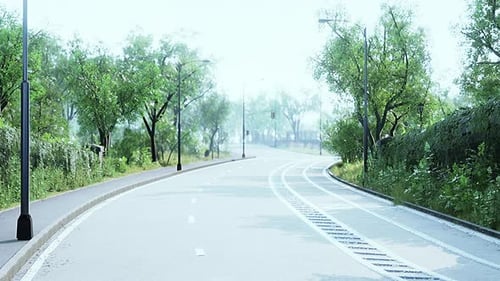 Foto da estrada que atravessa o meio da floresta