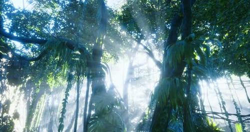 Bright Sun Rays in Ethereal Jungle Forest Canopy