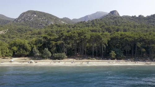Drone Flies Over a Beach and Sea Bird Eye View