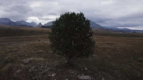 Aerial video of a green area in a mountain valley. Dormitor, Montenegro