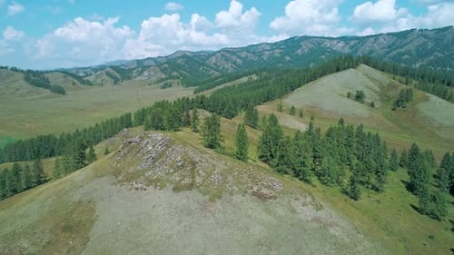 Aerial Panoramic View of Green Hills with Trees in Highlads of Altai Region Russia Beautiful Summer