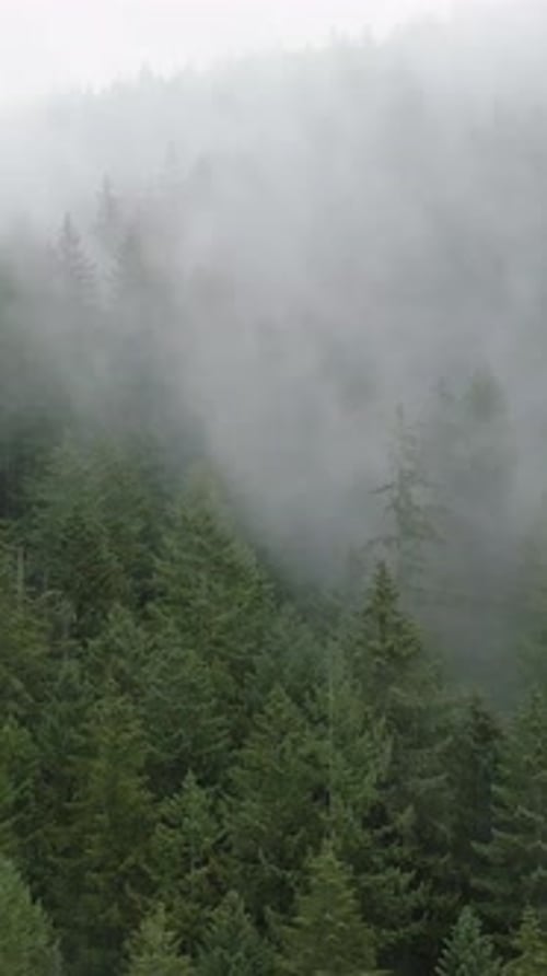 Aerial View of Beautiful Mountain Landscape Fog Rises Over the Mountain Slopes