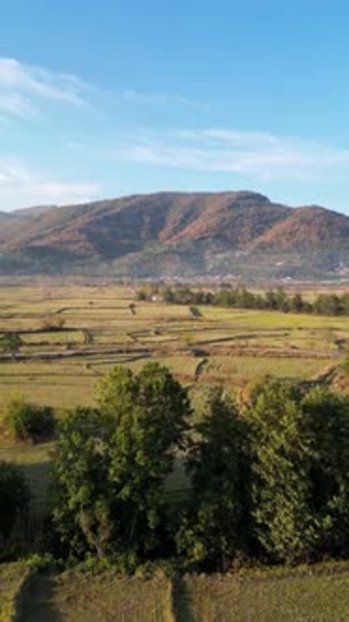 Pássaro branco voando sobre a montanha na zona rural do Irã, paisagem de arroz panorâmico ao pôr do sol