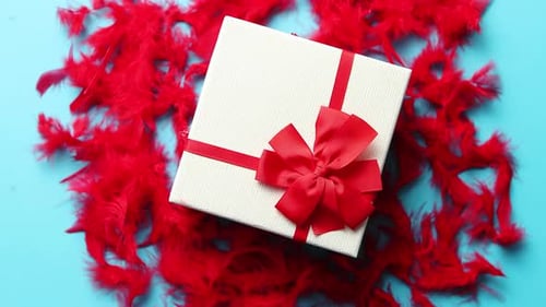 Gift Box with Red Ribbon and Feathers