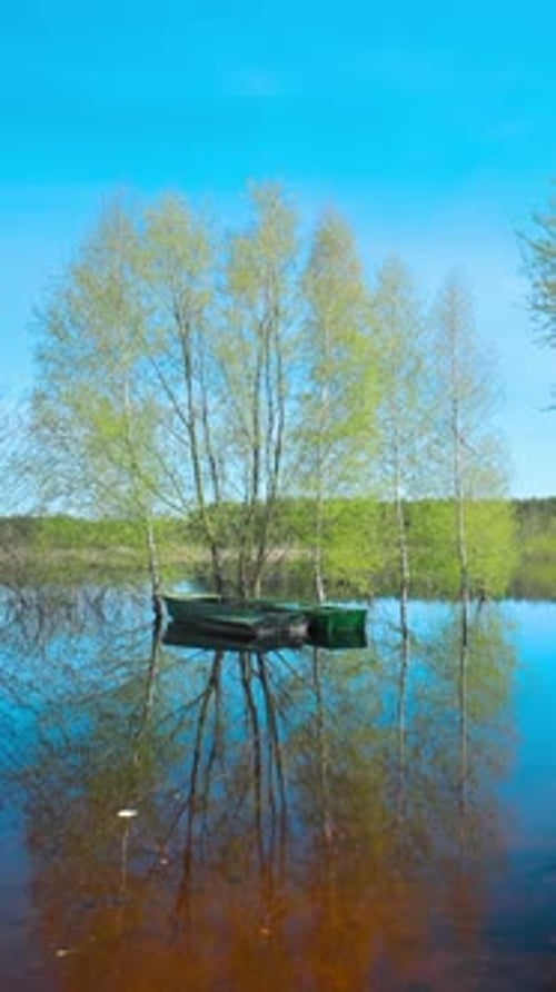 Picturesque Lake with Boat and Trees Reflection