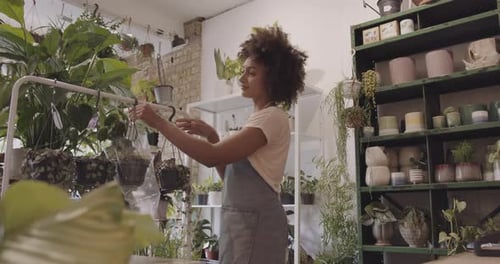 Afro American female Small business owner organising plant store