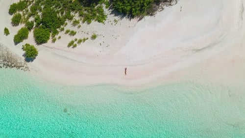 Woman Relaxing on Pink Sand Beach with Turquoise Water Aerial Drone View