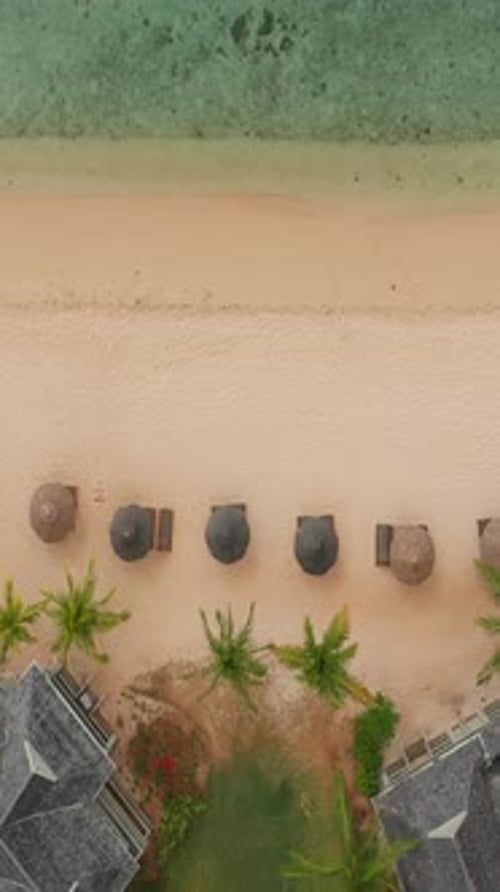 Close Up Fly Over Palm Trees and Beautiful Beach Lagoon Paradise Island in Mauritius Landscape View