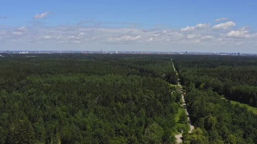 Wonderful nature. Drone footage of an threehundredsixty degrees turn over a bavarian, green forest w
