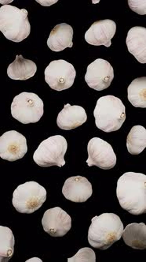 Vertical Floating Garlic on Alpha