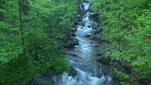 High Angle View of Flow Waterfall Creek in Green Forest