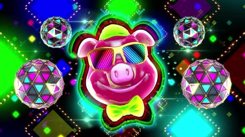 Disco Pig