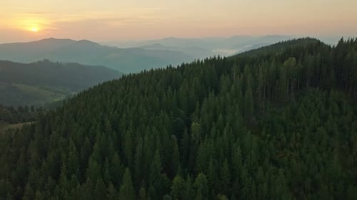 Forest Nature Mountains Dawn Sunrise Landscape Morning Beautiful