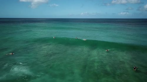 Aerial shot above surfers enjoying a small surf break on the North Shore Coast of Oahu, Haawaii.