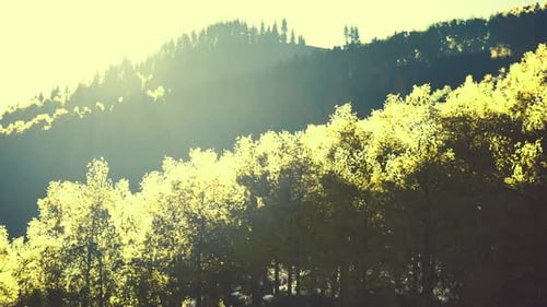 Coucher de soleil lumineux dans les montagnes avec une forêt jaune