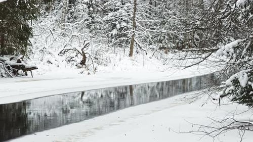 Lindulovskaya Grove an Ecological Trail a Calm Winding River in a Snowy Forest Trees Under the Snow