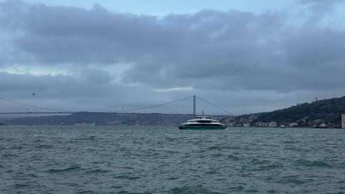Passenger Ferry Sailing in Istanbul Bosphorus with Seagulls and City Skyline