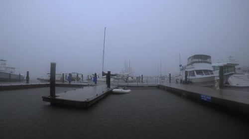 Rainy Day at the Boat Marina, FL, USA