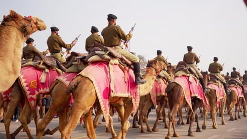 Indian Army Marching on Camel Rehearsing for Republic Day Parade