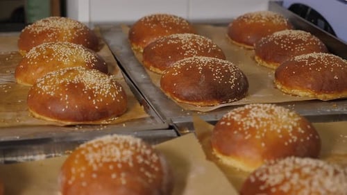 Closeup of Freshly Baked Burger Buns with Sesame Seeds in the Restaurant Kitchen