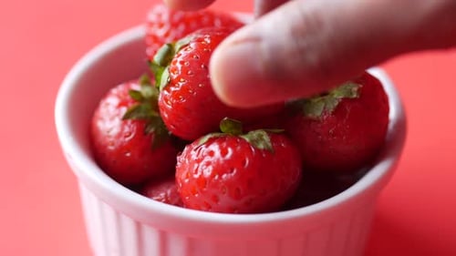 Hand Pick Ripe Red Strawberries in a Bowl on Table