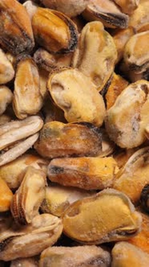 Raw Frozen Mussels Closeup Rotating Vertical