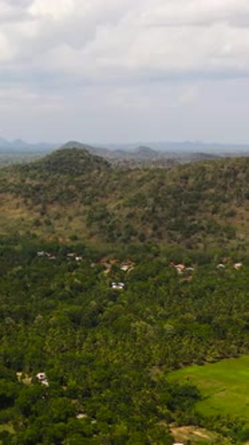 Agricultural Landscape in the Countryside Sri Lanka