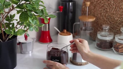 Woman Prepares Coffee with Moka Pot in Kitchen