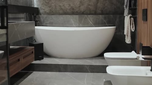 Modern Bathroom Design with Freestanding Bathtub