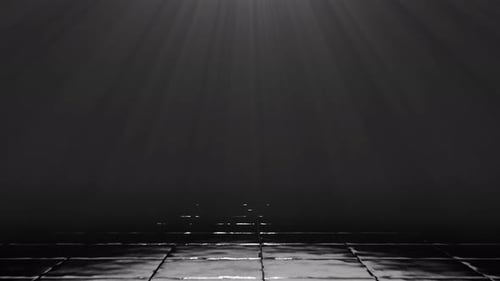 Elegant Corporate Logo Reveal with Reflective Floor and Light Rays