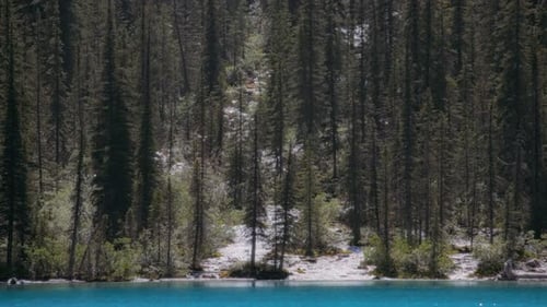 Glacier mountain stream flowing into Moraine Lake