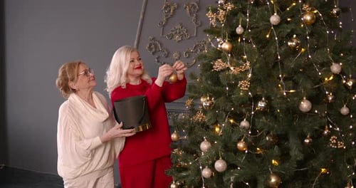 Adult Woman with Mother Decorating Christmas Tree Together