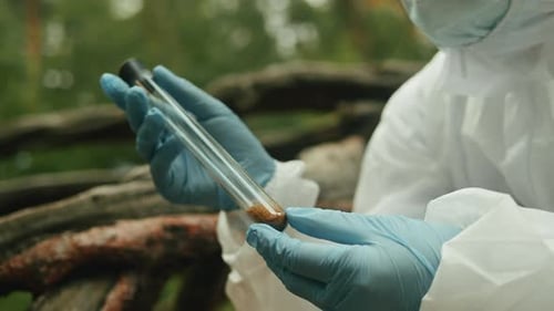 Taking Probe of Soil in Forest Geologist Man Worker Taking Measurements of Soil Probe By Scientific