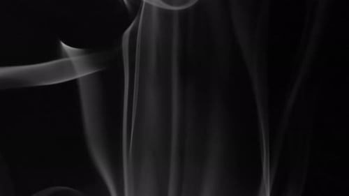 Humo