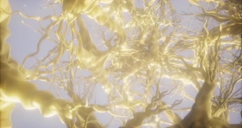 Expansive Network of Neurons Illuminating Cognitive Connections and Pathways