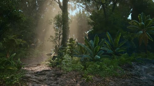 Sunlight Filtering Through Trees in a Lush Tropical Forest at Midday