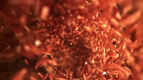 The Red Rice Flies and Falls Down Filmed on a Highspeed Camera at 1000 Fps
