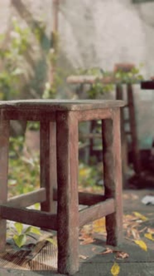 Rustic Wooden Stool with Greenery and Sunlight